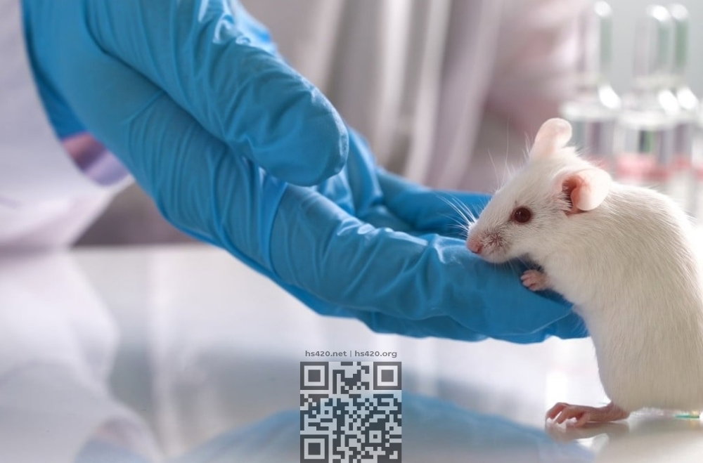mouse-lab.jpg