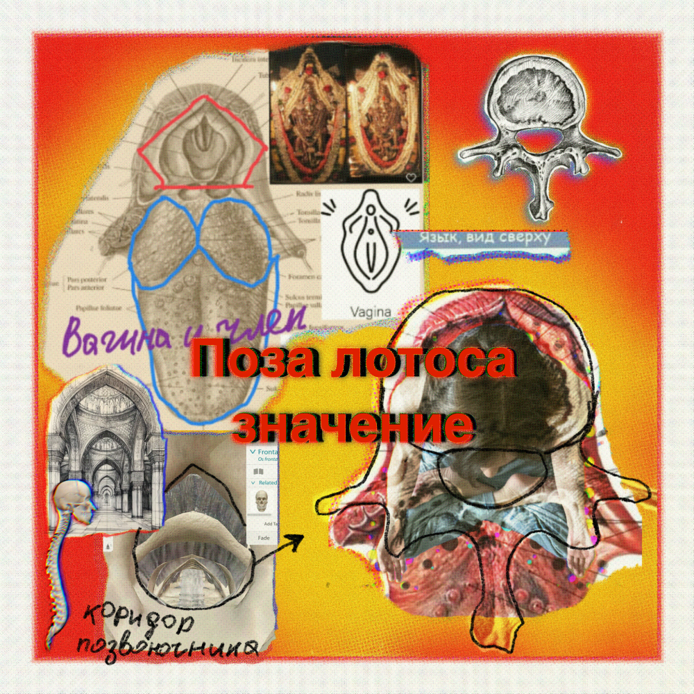 IMG_0261.thumb.png.74d0fbe498d6b5d59630287b87099034.png