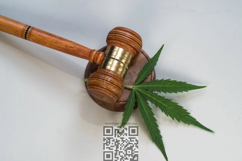 cannabis-court.jpg