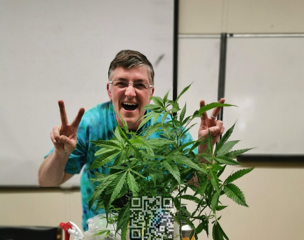 cannabis-home-grow.jpg