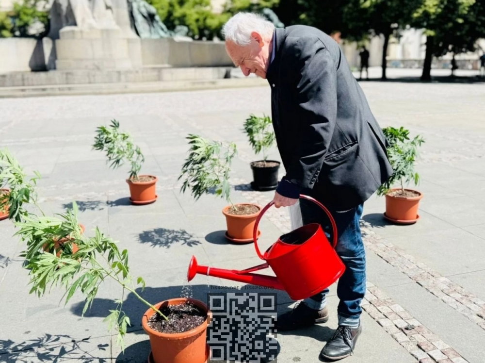 czech-cannabis-activists.jpg