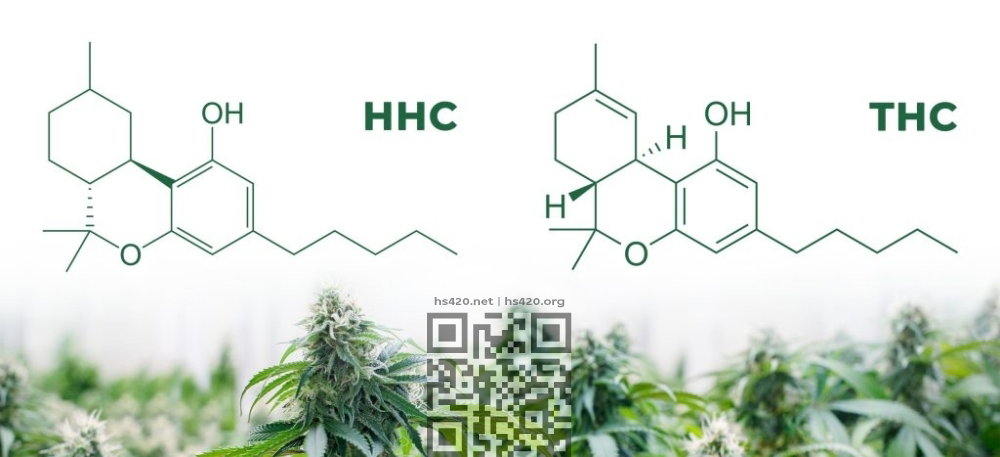 hhc-thc-molecules.jpg