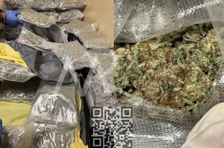 mauritius-marijuana-seized.jpg