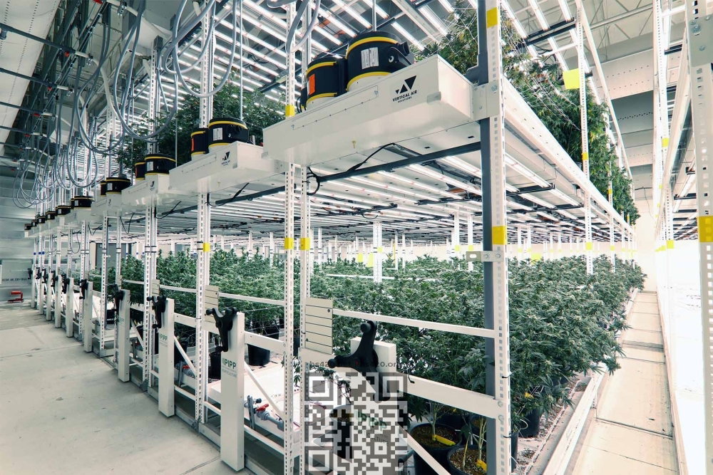 vertical-farming-cannabis.jpg
