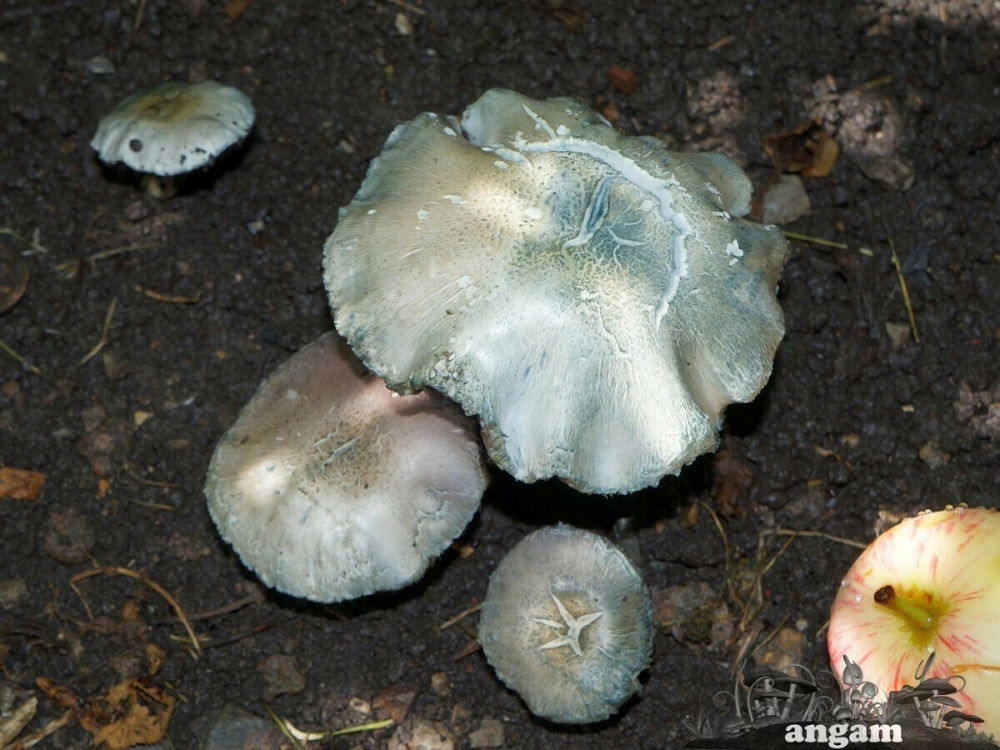 338489272-DSC07018.jpg