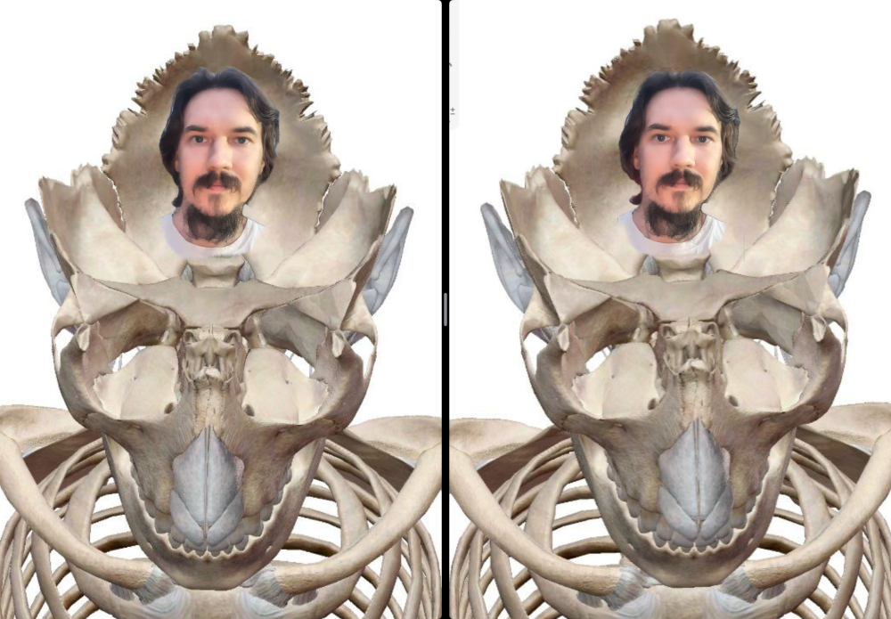IMG_1376.thumb.png.87021d1fc37c25e8e3b086c877cd9f41.png