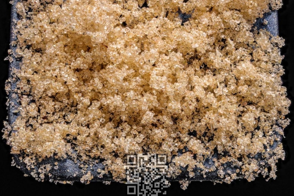 Ice-water-hash.jpg