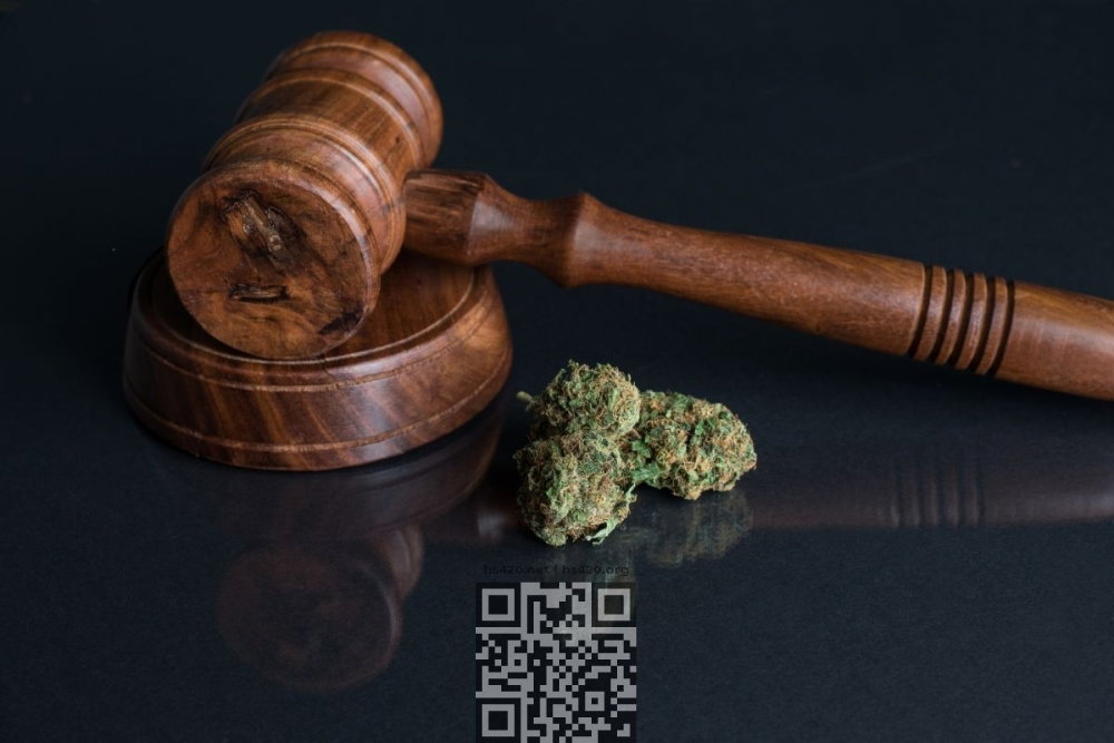 cannabis-law.jpg