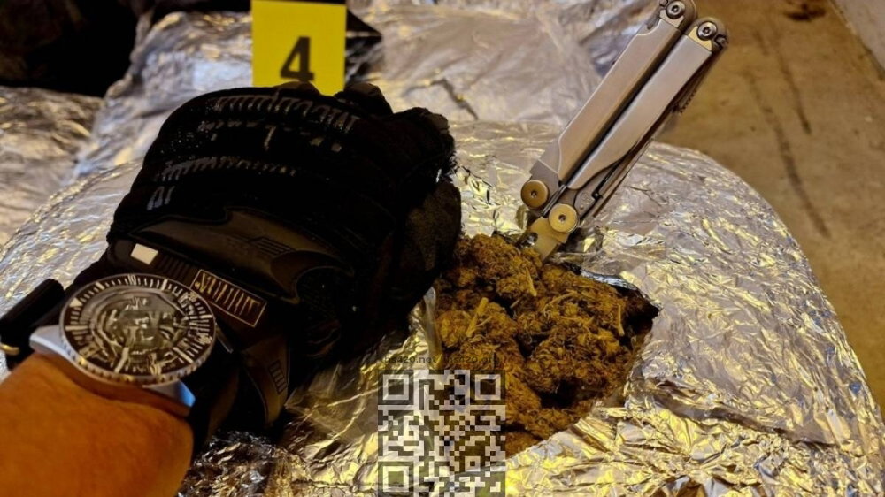 cannabis-seized-bulgaria.jpg