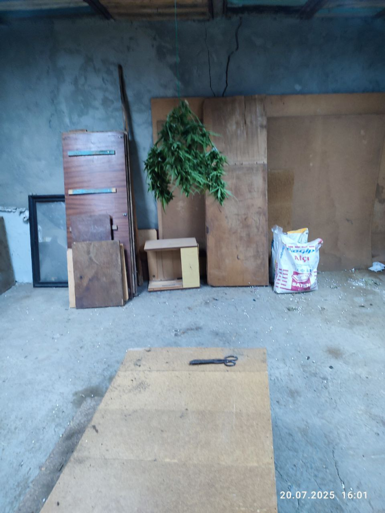 image.thumb.png.a579c892cf1484bc25a41d431cc944d9.png
