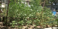 IMG_20250706_123403.jpg