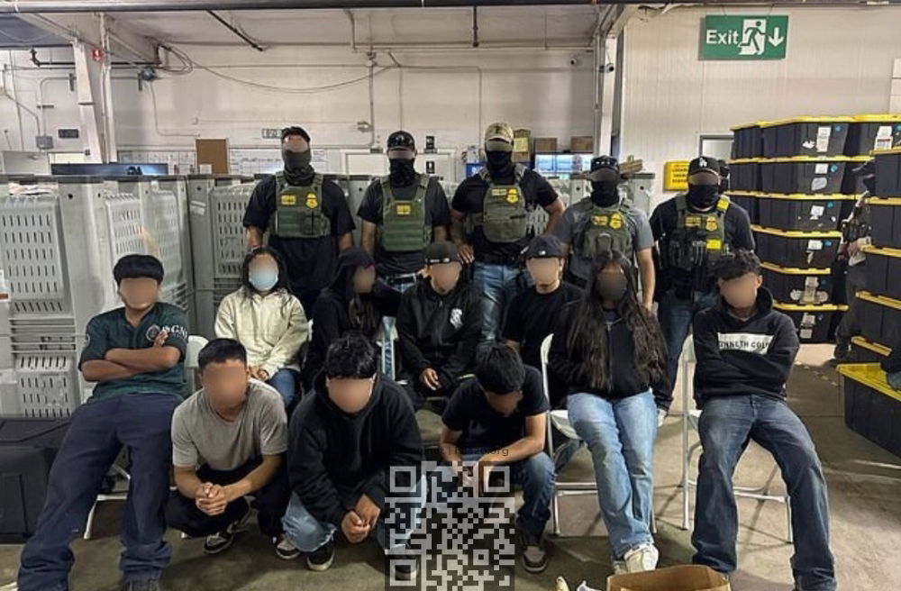 teens-arrested-cannabis-farm.jpg