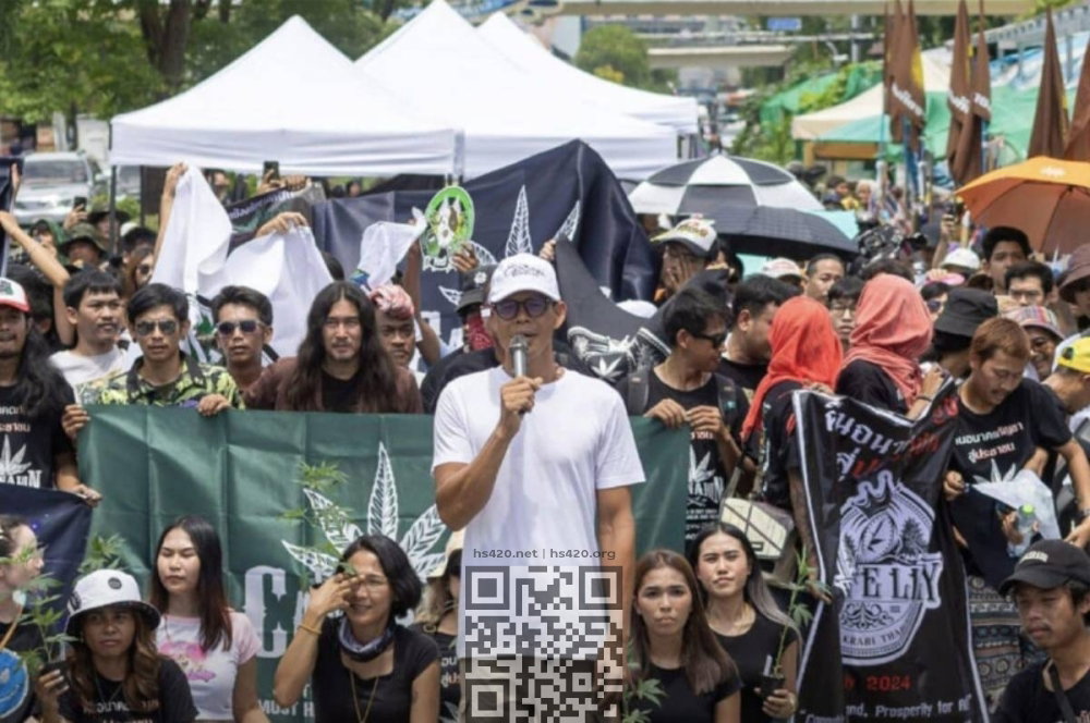 thailand-cannabis-activists.jpg