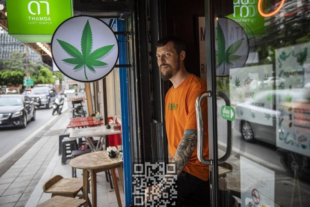 thailand-cannabis-shop.jpg
