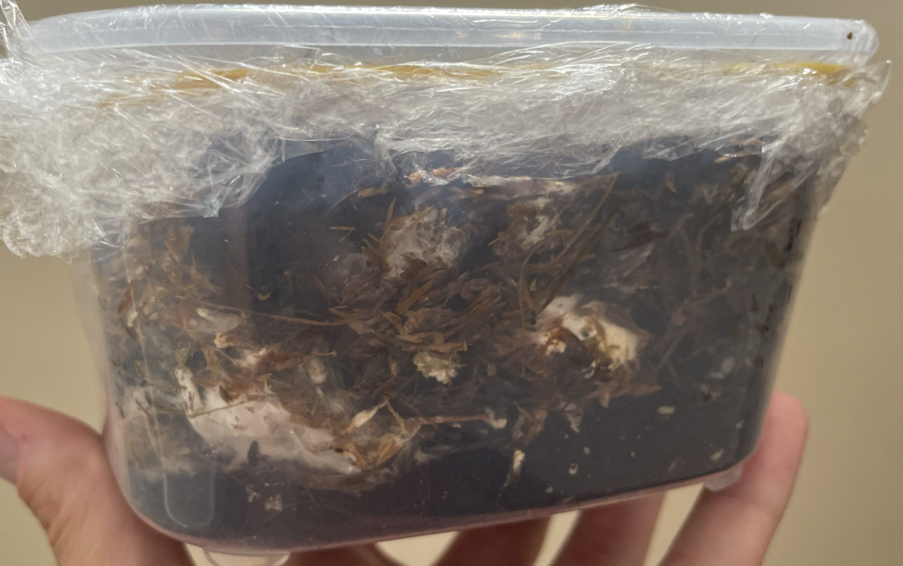 Screenshot 2025-08-21 at 09.30.31.png
