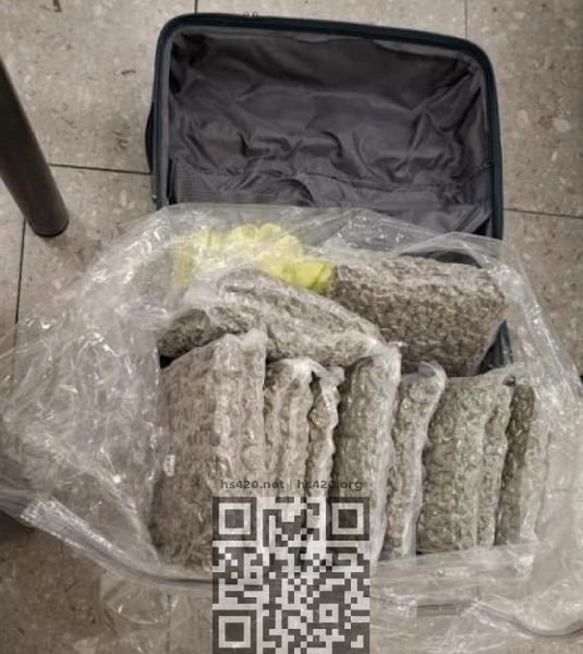 borrett-marijuana-seized.jpg