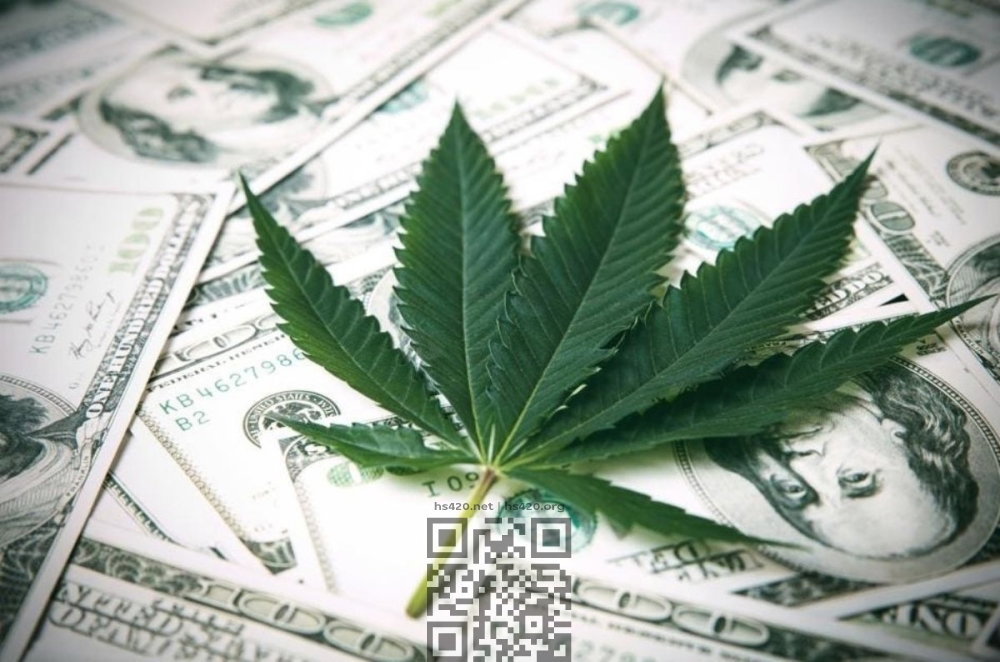 cannabis-money.jpg