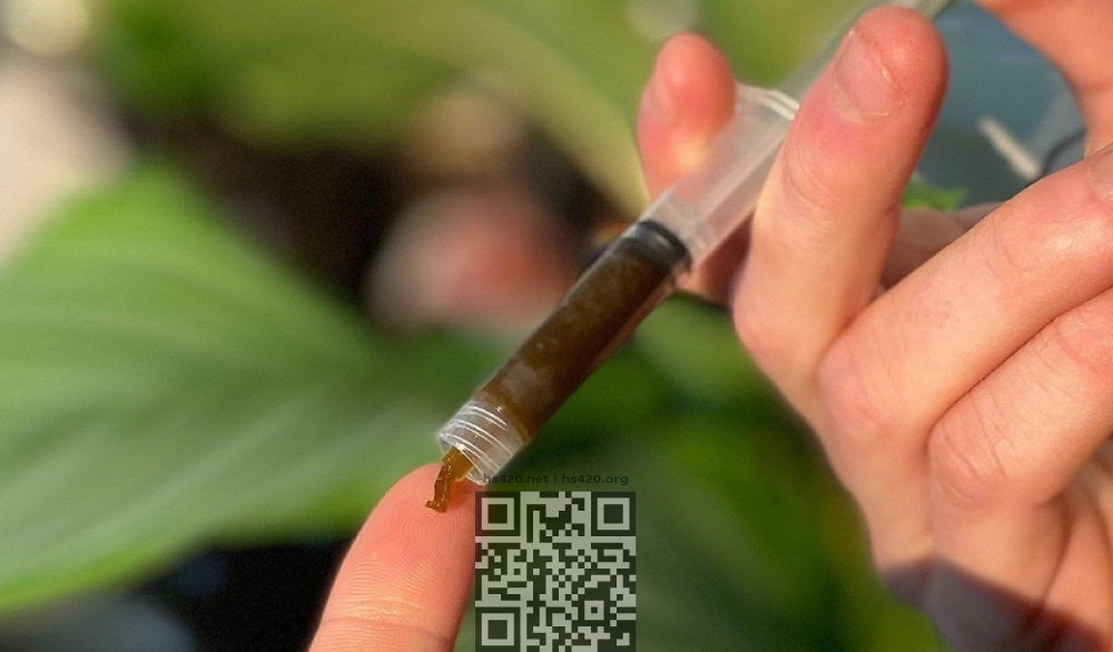 cannabis-paste.jpg