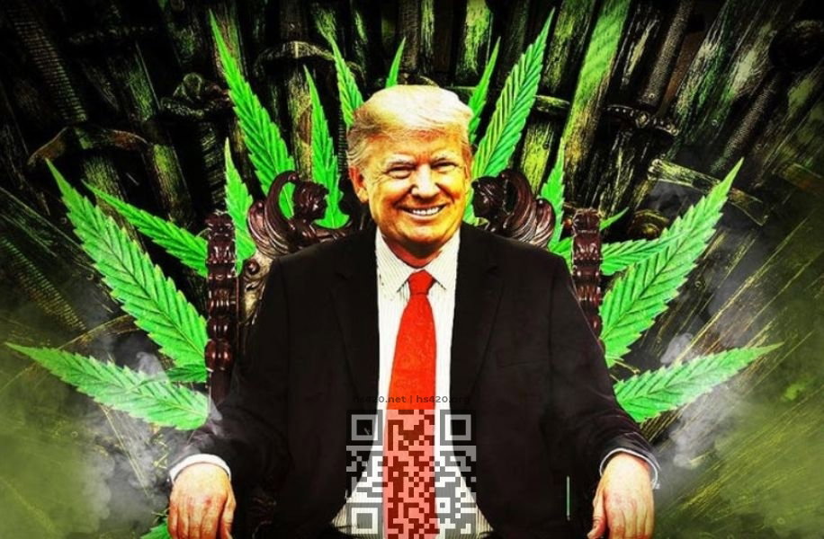 donald-trump.jpg