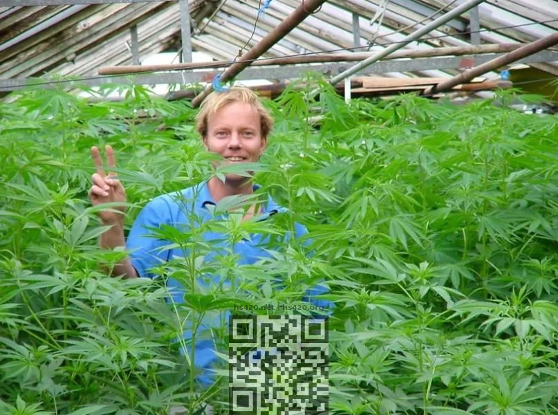luc-krol.jpg