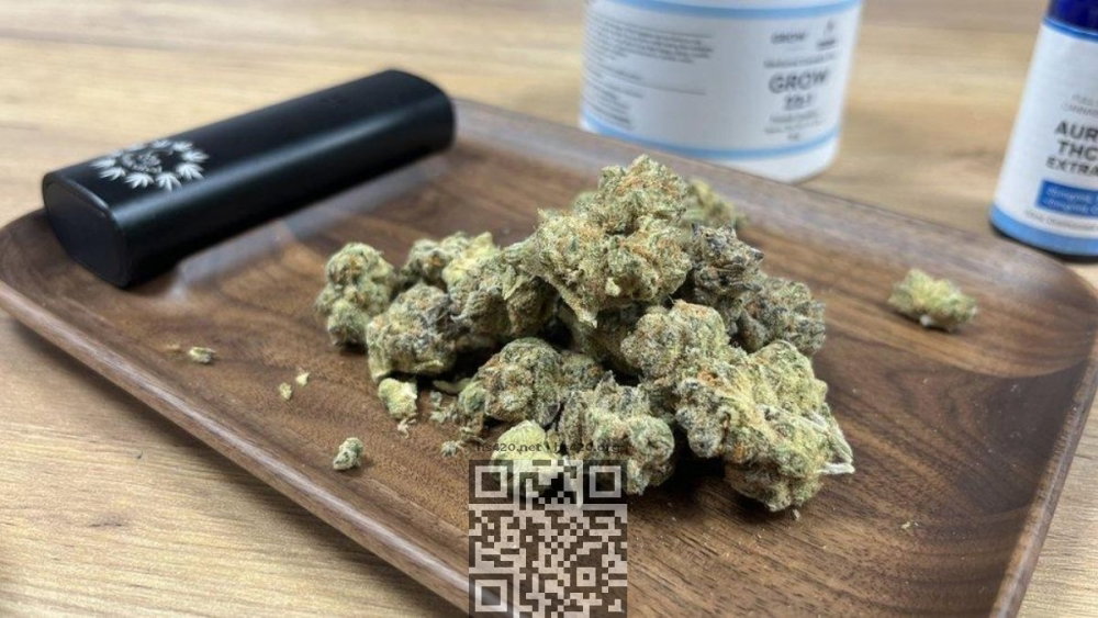 medical-marijuana.jpg