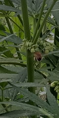 IMG_20250818_101231.jpg