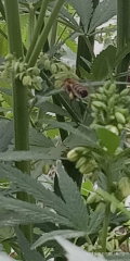 IMG_20250818_101237.jpg