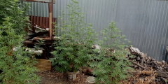 IMG_20250818_101525.jpg