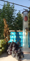 IMG_20250819_161320.jpg