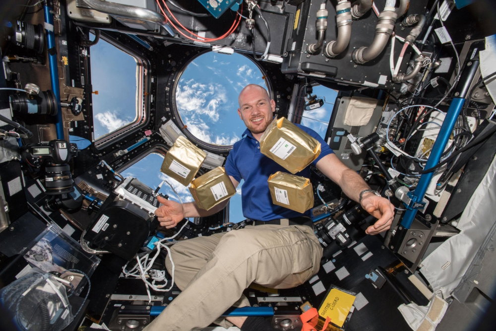230712163115-space-seeds-alexander-gerst.thumb.jpg.0a4f09490939047233d29a119107b10b.jpg