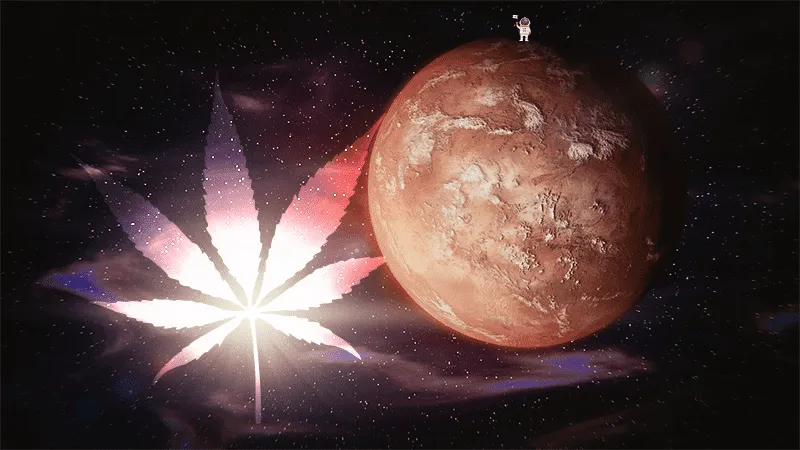 Will_There_Be_Cannabis_On_Mars.webp.f5b79b4bbd6a648f300b8b5984d4f59c.webp