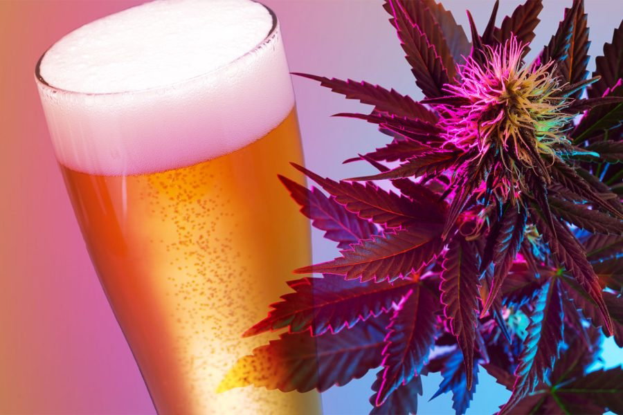brewing-beer-with-cannabis-900x600.jpg.11b06647518af50f54af4c0591320acb.jpg