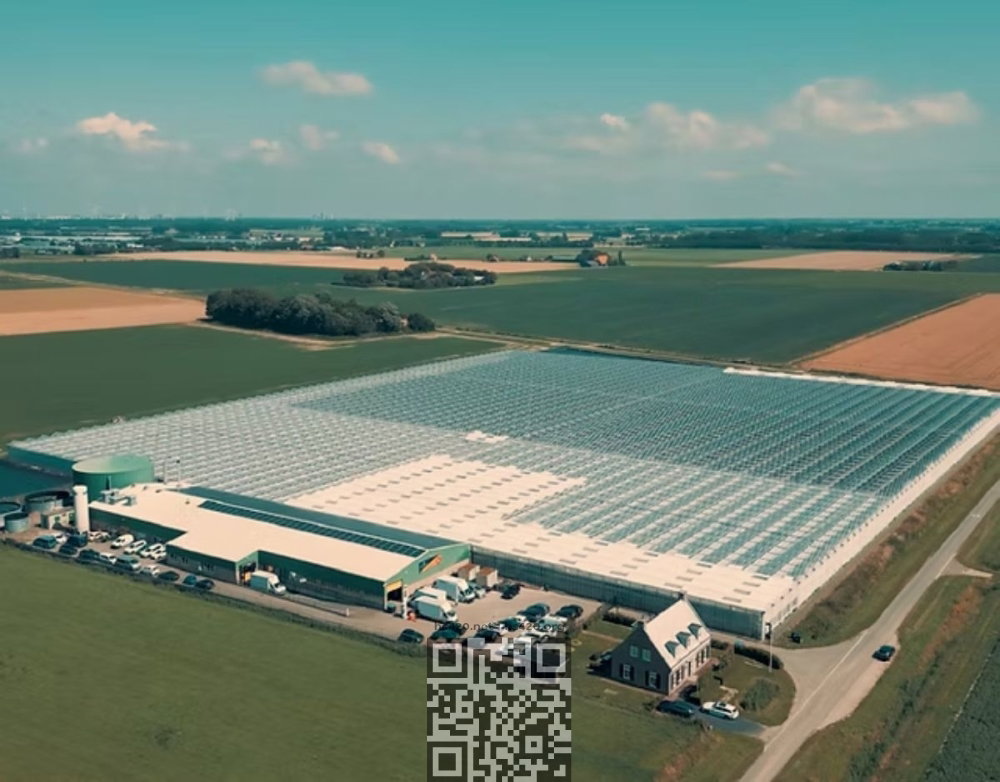 canadelaar-cannabis-farm.jpg