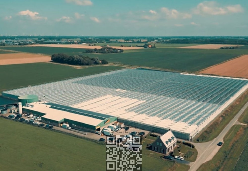 canadelaar-cannabis-farm.jpg