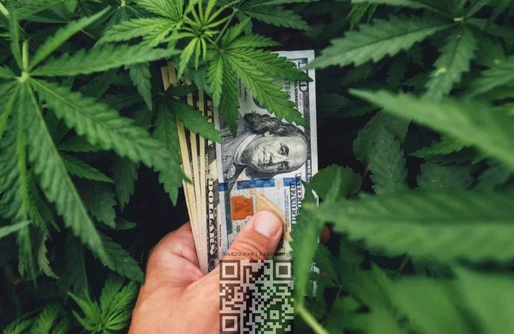 cannabis-earn-money.jpg