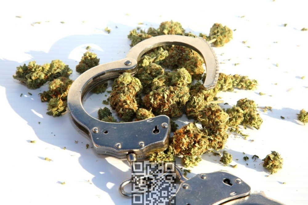 cannabis-handcuffs.jpg