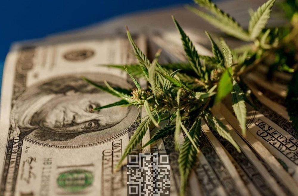 cannabis-money.jpg