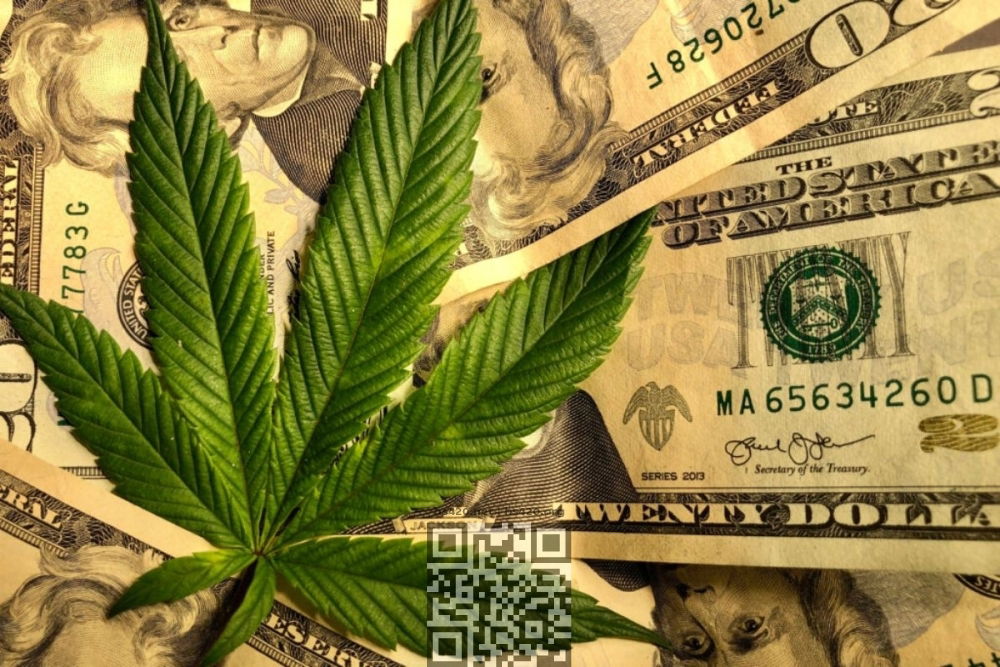 cannabis-money.jpg