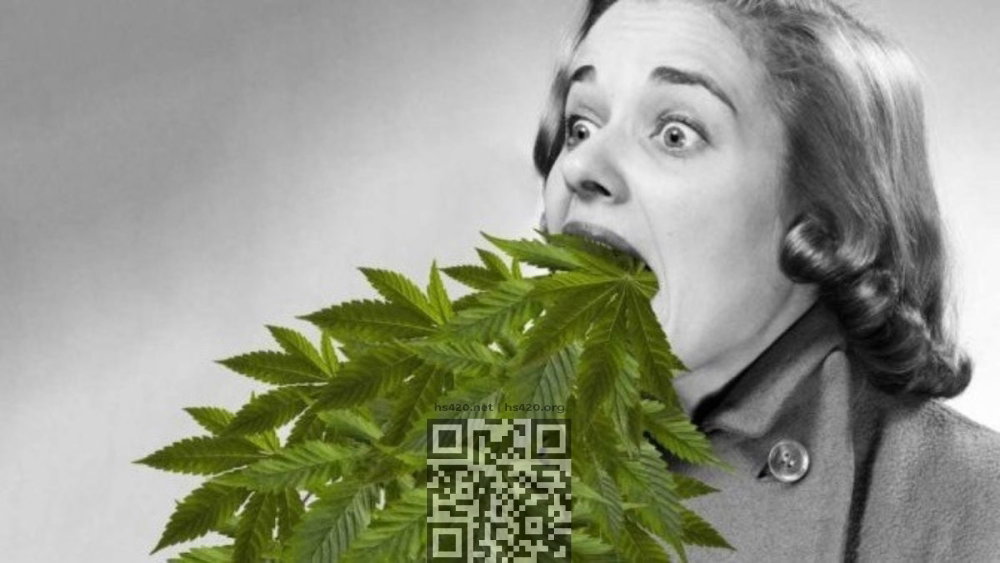 cannabis-overdose.jpg