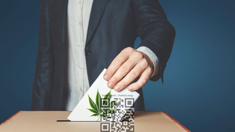 cannabis-vote.jpg