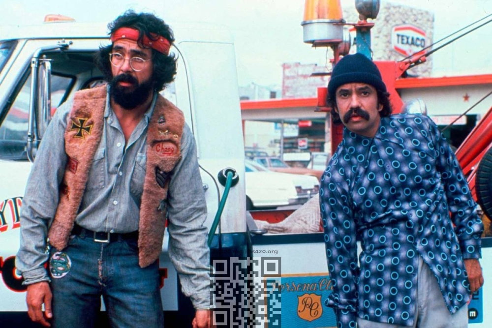 chong-cheech-up-in-smoke.jpg