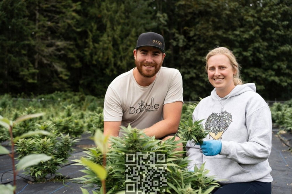 dabble-cannabis-farm.jpg
