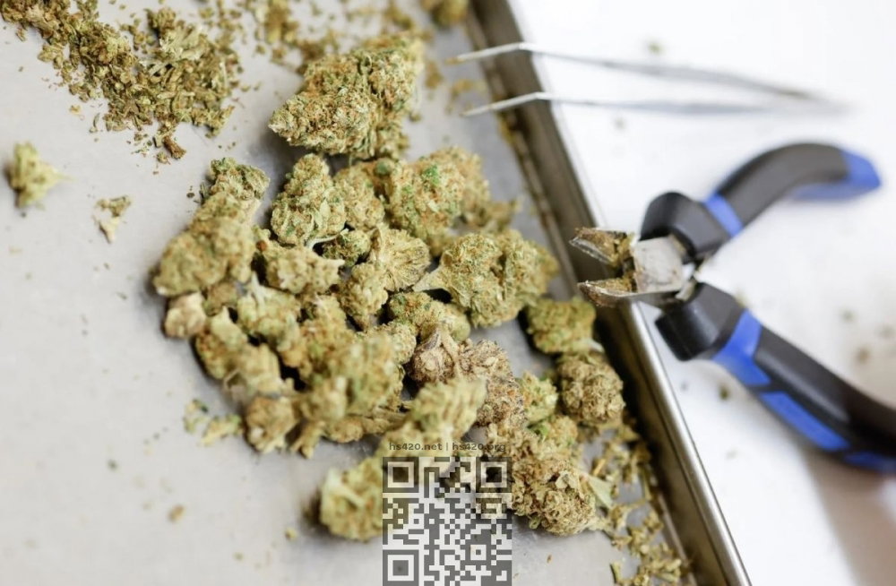 marijuana-trimmer.jpg
