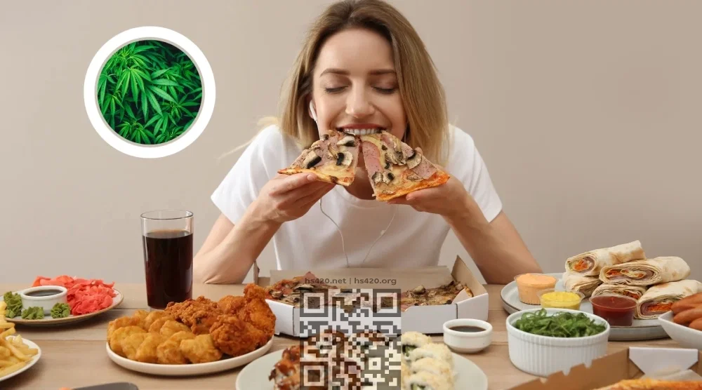 mastering-cannabis-munchies.webp