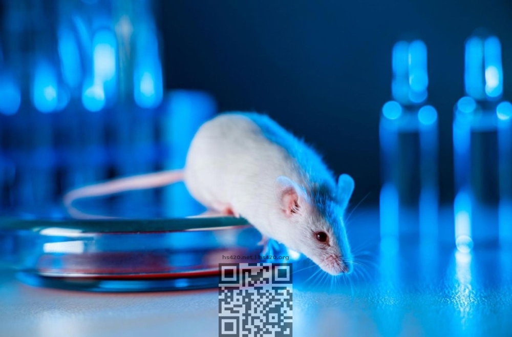 mouse-lab.jpg
