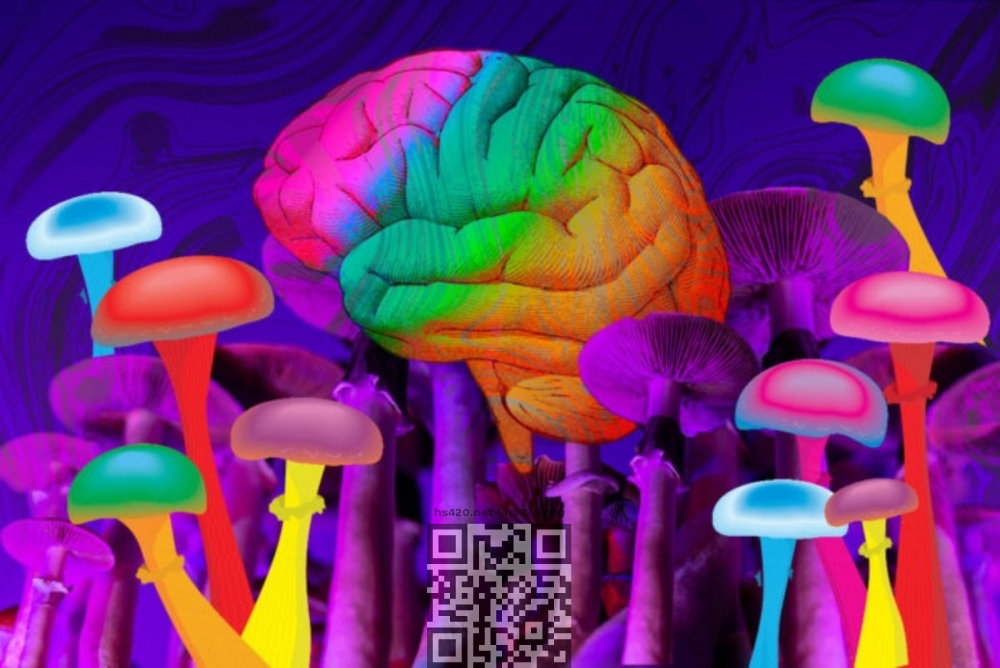 psilocybin-mushrooms-brain.jpg