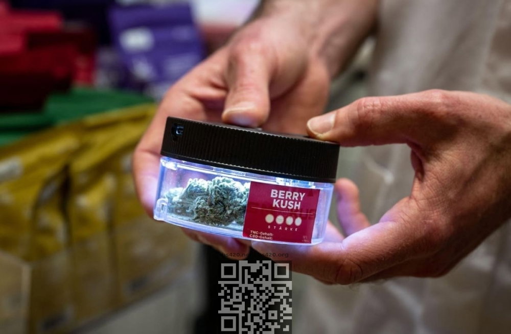 switzerland-legal-cannabis.jpg