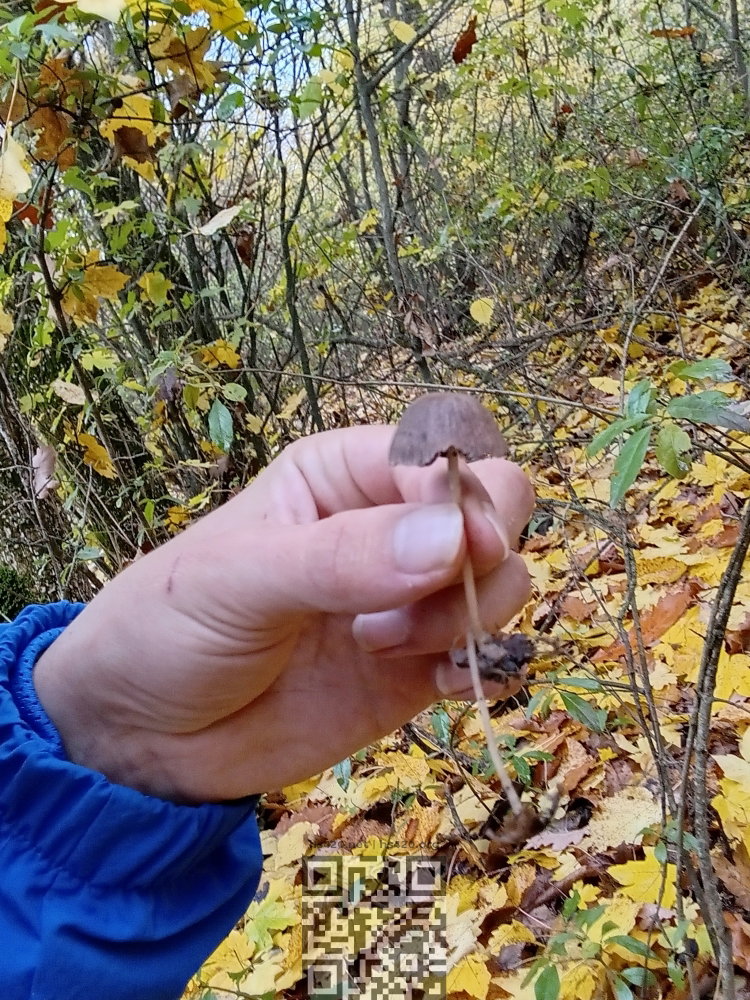 20251028_144810.jpg