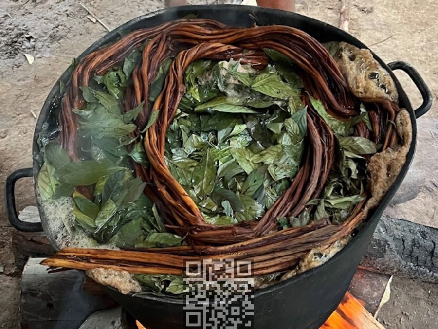 ayahuasca.jpg