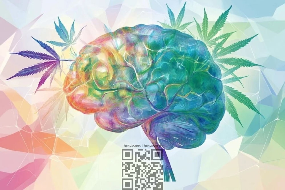cannabis-brain.jpg
